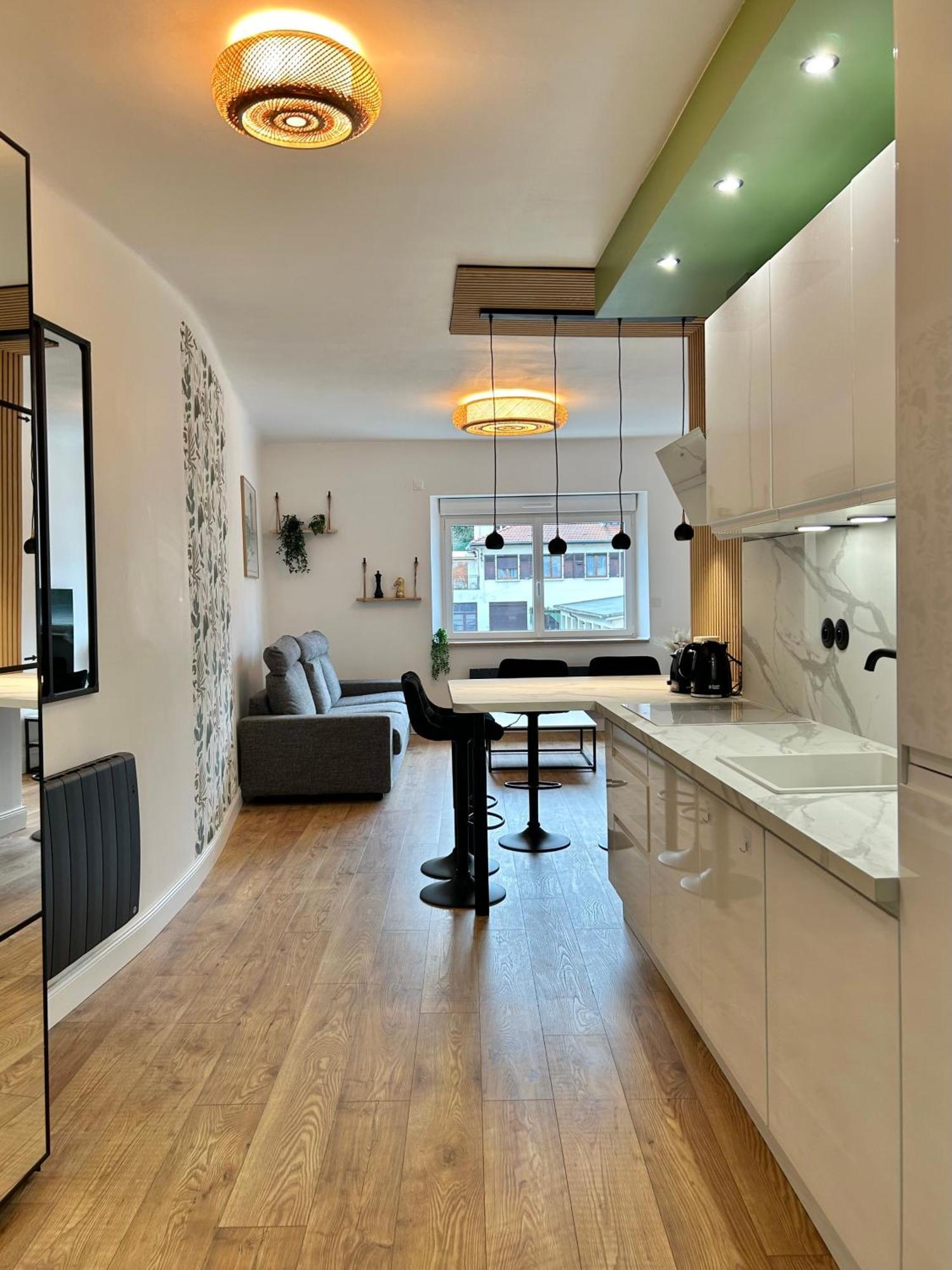 Le Chardon- Appartement 2Chambres- Avec Stationnement Нанси Экстерьер фото